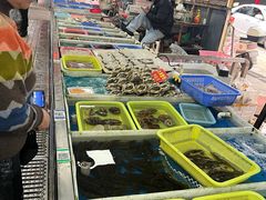 -大湾区中央湿地公园-十九涌