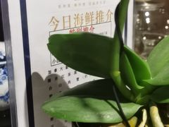 -钟菜·粤菜点心·宴请(海上世界·汇港二期店)
