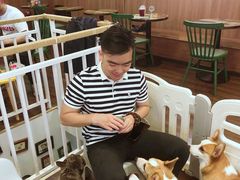 -柯斗斗主题餐厅·狗咖·围炉煮茶·茶饮(国瑞升平里店)