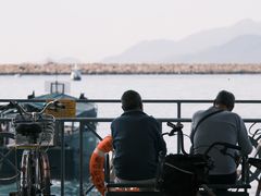 -长洲岛