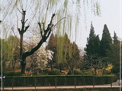 -团结湖公园