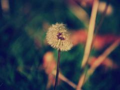 -佳香烤肉店(隆盛园小区店)