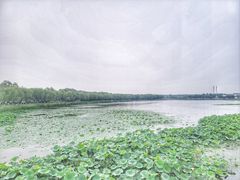 -素心小筑(后沙裕镇店)