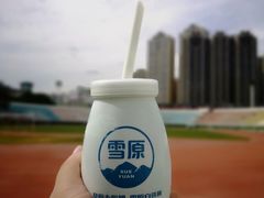 -青城公园