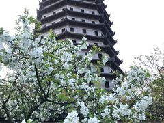 -六和塔文化公园