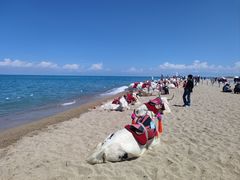 -青海湖国家重点风景名胜区