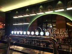 -Ambra Haus琥珀屋精酿餐厅(宝山店)