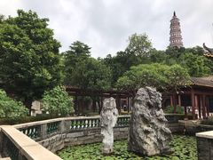 -顺峰山公园