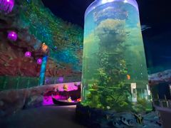 -青岛嘉年华主题乐园