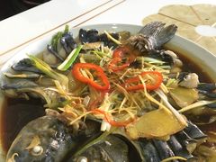 -煲来饱去冷水鱼