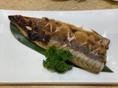 烤青花鱼-东京屋(武定路店)