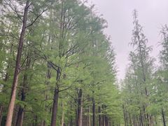 -云龙湖旅游景区