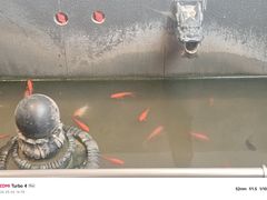 -单家老院·院子里的青岛菜(沙子口店)