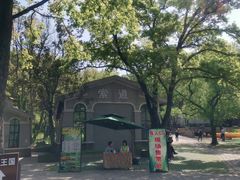 -WeLope紫金山探险公园