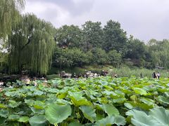 -郭守敬纪念馆
