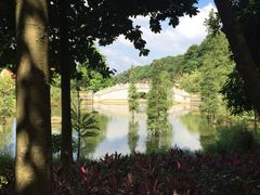 -广州市帽峰山景区