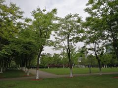 -尚贤河湿地
