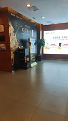 点击看大图 -苏亚医美·高端注射明星整形机构