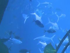 -福州罗源湾海洋世界旅游区