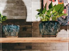 -雀舞云南菜(天津天河城购物中心店)