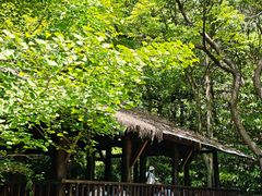 -黄公望隐居地