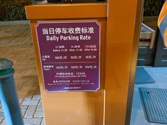 -迪士尼乐园停车场