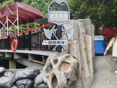 -将军关探险漂流