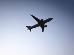 -空港花田景区