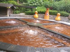-融汇温泉