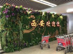 -陕西名小吃(T3航站楼一店)