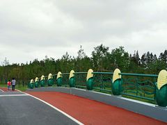 玉米桥-上海长兴岛郊野公园