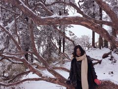 -西岭雪山大飞水景区