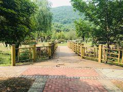 -金钉子远古世界景区