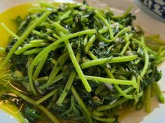 清炒茼蒿-双东酒店(东关街店)