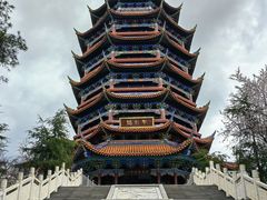 -铁山坪森林公园