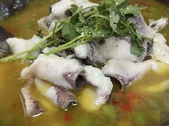 -九门寨石锅鱼烤鱼