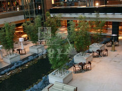 20100221-巴斯夫酒会-43-上海外滩茂悦大酒店