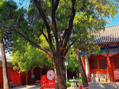 -比干庙景区