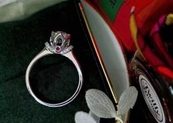 -I Do(镇江苏宁广场店)