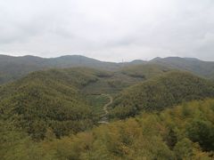 -宁波浙东大竹海景区