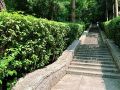 -北极阁公园