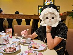 -惠食佳(滨江大公馆店)