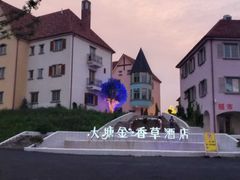 -大塘金香草谷