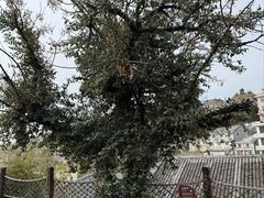 -东沙渔村