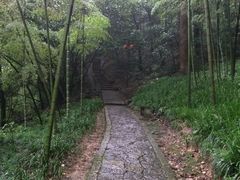 -杭州黄龙洞