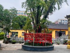 -会龙寺