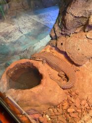 -酷嗒动物文化乐园(cutezoo西溪乐天城店)