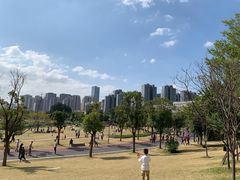 -牛岗山公园