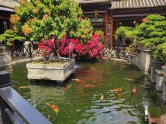 -猪肉婆私房菜(容桂总店)