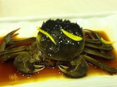 iphone_upload_pic-舒蔡记生煎菜饭(云南中路店)